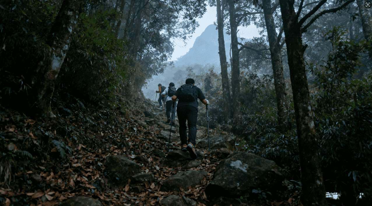如何通过轻蜂加速器访问推特内容